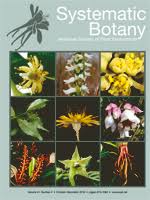 Image result for Crossopetalum mossambicense