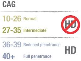 What Does My Cag Number Tell Me Inside Huntingtons Disease