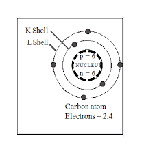 Pin On Science Quiz