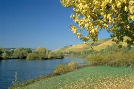 The best addresses for fine dining, gourmet articles and many more Randersacker Mapio Net