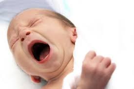 Blahungen Babyernahrung