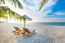 How to Plan a Sustainable Beach Vacation - Your AAA Network