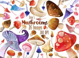 Heat butter and olive oil in a skillet over medium heat. Mushroom House Worksheets Teaching Resources Tpt