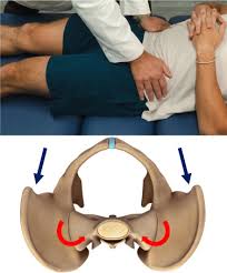 Image result for Pelvic Compression Test