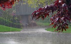 اضغط على زر تحميل download في الشريط الجانبي، لن يؤدي هذا إلى. Torrential Rain Wallpaper For Android Apk Download