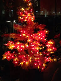 We have 6 christmas tree shops locations with hours of operation and phone number. Woyshner S Flower Shop Buffalo Shopping