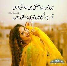 Pin By Usman Manzoor On Dramazz Crazy Girl Quotes Ali Quotes Namal Novel