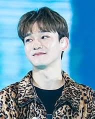 Chen Singer Wikipedia