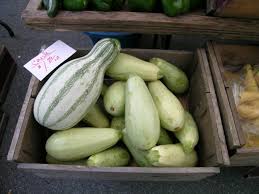 What is zucchini in salvadoran spanish. Pipian Worldcrops