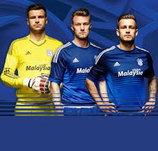 But due to the popularity of this service, flybe decided that regular flights to london city airport would continue. Cardiff Fc Jersey Jersey On Sale
