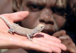 Palanapayana Tukjana Ngurra