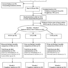 Organization Chart Of Participant Flow Throughout The Study