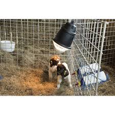 You want the heat lamp set up so that it keeps the puppies warm, but you don't want the entire whelping box directly heated, otherwise you risk overheating the. Prima Heat Lamp Pbs Animal Health