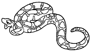 Hello there people , our most recent coloringpicture that you coulduse with is rainforest snake on tree coloring page, posted in rainforestcategory. Rainforest Boa Coloring Page Wecoloringpage Coloring Home