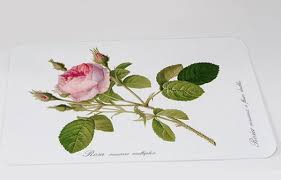 На яндекс.маркете — с 30 марта 2010 года. Platzset Redoute Rose Landhaus Ettenbuhl Online Shop