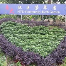 Maybe you would like to learn more about one of these? Ntu Community Herb Garden Home Facebook