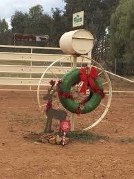 Download 27+ images of frontgate christmas tree. Christmas On The Farm Photos The Land Nsw