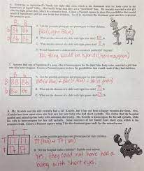 Spongebob squarepants recently met spongesusie roundpants at a dance. S P O N G E B O B G E N E T I C S A N S W E R S H E E T Zonealarm Results
