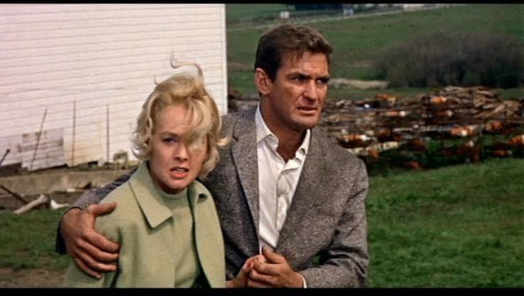 It's the end of the world.” | The Birds (1963) – FICTIONMACHINE
