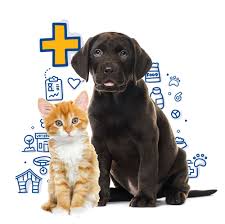 Our pets need us more than ever before, especially with restrictions imposed on our physical mobility. Mercy Pricing Mercy Pet Clinic