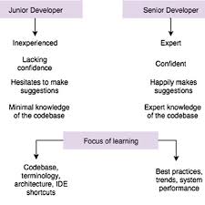 About monsterland junior vs senior. Junior And Senior Developer Personas Download Scientific Diagram