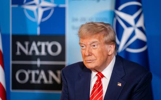 NATO allies to get 'report cards' as Trump presses for more defense spending | Stars and Stripes