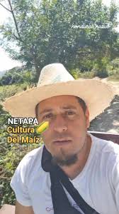 Netapa produce maíz 🌽, parte 6