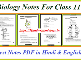 Plant cell notes in hindi. Biology Notes For Class 11 In Hindi And English Pdf