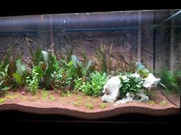 This measure of light is called par (photosynthetically active radiation). Aquarium Light Vs Grow Light