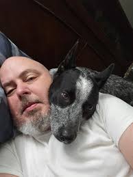 Playing with australian cattle dog outside