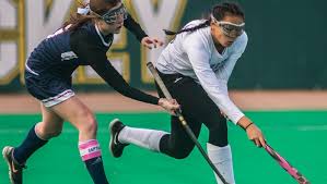 Image result for Sorindeia winkleri