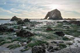 The westman islands are comprised of 15 islands and about 30. Southern Iceland S Breathtaking Rock Formation Looks Exactly Like A Gigantic Sea Elephant Daily Mail Online
