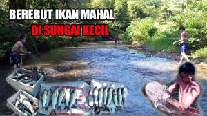 Tempat tidur ini merupakan hasil karya abdolhay parnian yang waktu pembuatannya hampir mencapai setahun. Bvvtgn2xvjy21m