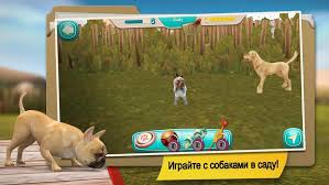 Here's the schematic for the board. Download Dog Hotel Premium Play With Cute Dogs Mod Money 2 1 10 Apk For Android