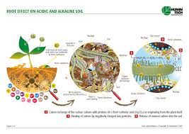 Soil formation chapter i definitions and concepts as a science grows, its underlying concepts change, although the words remain the same. What Are Humic Acids Humintech