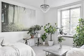 Purement Vegetal Decoration Couleur Mur Paroi De Douche