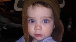 Fundraiser for KD Sharp by Robin Chalfant : Funeral Expenses for Loki