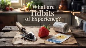 What Are Tidbits of Experience? - Businesswave.co.uk