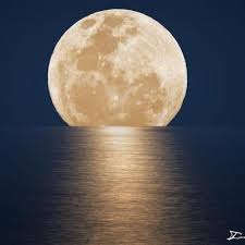 قمر ١٥ Beautiful Moon Good Night Moon Moon Pictures