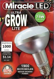 Miracle Led Ultra Grow Light Bulb Free Shipping On 99 Orders Grow Light Bulbs Led Grow Light Bulbs Grow Lights