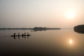 It's home to more mammals, birds and fishes and than any other part of africa. The Congo River Basin Home Of The Deepest River In The World Live Science