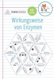 Wirkungsweise Von Enzymen Abitur Trimino Unterrichtsmaterial Im Fach Biologie In 2020 Unterrichtsmaterial Biologie Weise