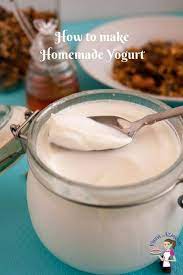 Homemade Yogurt Just Two Ingredients Veena Azmanov