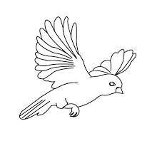 Maybe you would like to learn more about one of these? Printable Flying Sparrow Bird Coloring Pages Bird Coloring Pages Kidsdrawing Free Coloring Pages Onli Vogel Malvorlagen Ausdrucken Malvorlagen Fur Kinder