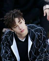 Pin By Asia Bts On Kpop Stray Kids Chan Stray Kids