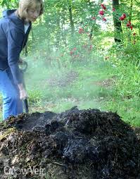 As long as it is possible for the roots to take up water and the basic nutritional elements such as n, p and k so live manure is a superb form of food and nutrients to trees, in our case fruit trees. Fruit Trees Chicken Manure As Fertilizer For Fruit Trees