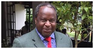 Ramaphosa can't avoid difficult decisions about mkhize david maimela: Tito Mboweni Age Children Song Education Qualifications Party Office And Net Worth