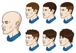 Vector Hair Grow Up Free Vector Download 369335 | CannyPic