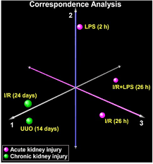 If you are at a high risk of developing ckd, you may be. Distinct Patterns Of Transcriptional And Epigenetic Alterations Characterize Acute And Chronic Kidney Injury Scientific Reports