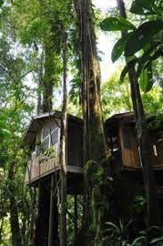 Within the broad expanse and biodiversity of the southern zone of costa rica, this private community and rainforest reserve is the most unique neighborhood in the world. Real Estate In Costa Rica Treehouse For Sale At Finca Bellavistafinca Bellavista Community